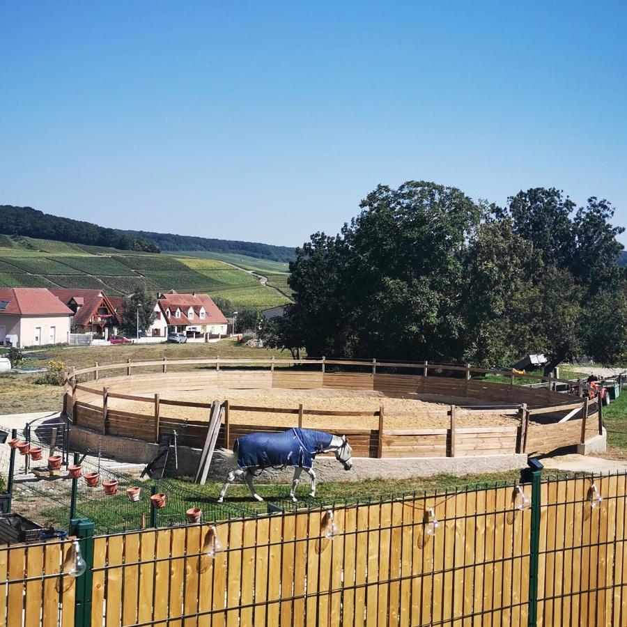 La Galipette, Charmant Chalet En Champagne Fleury-la-Riviere Eksteriør billede